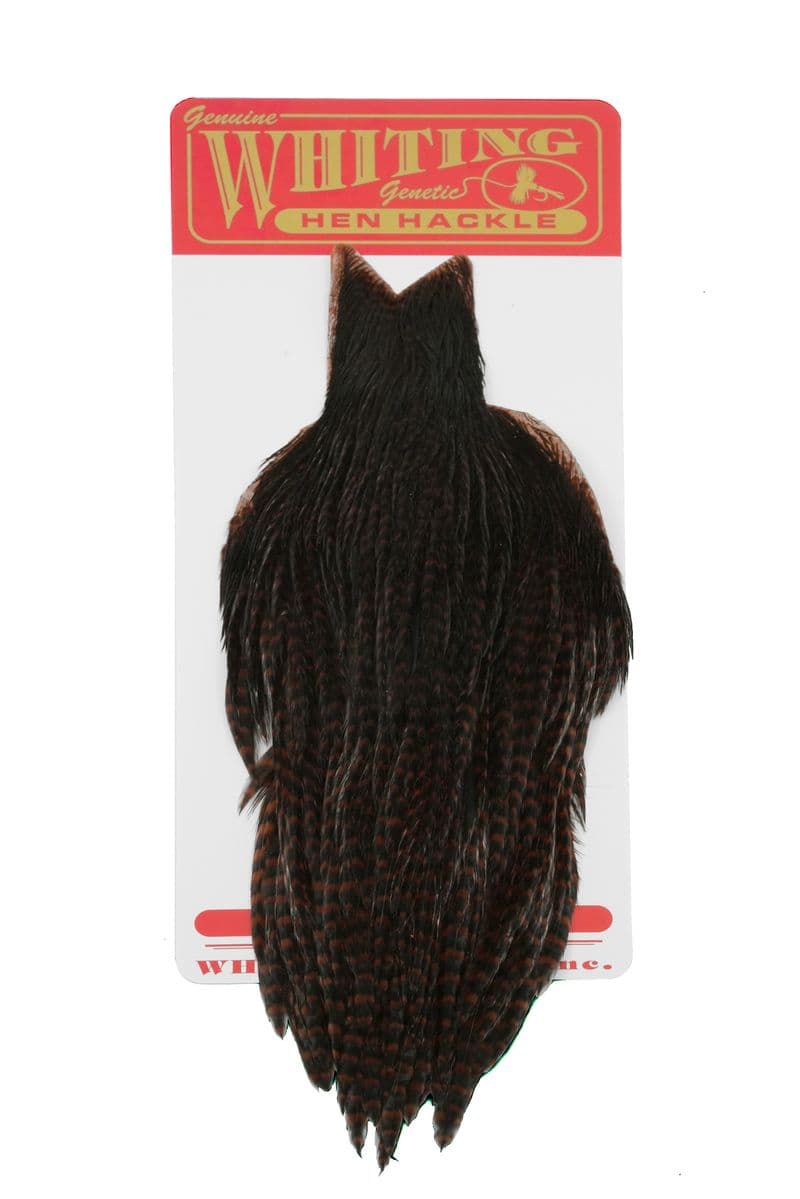 Whiting Hen Cape Grizzly dyed Coachman Brown view 2