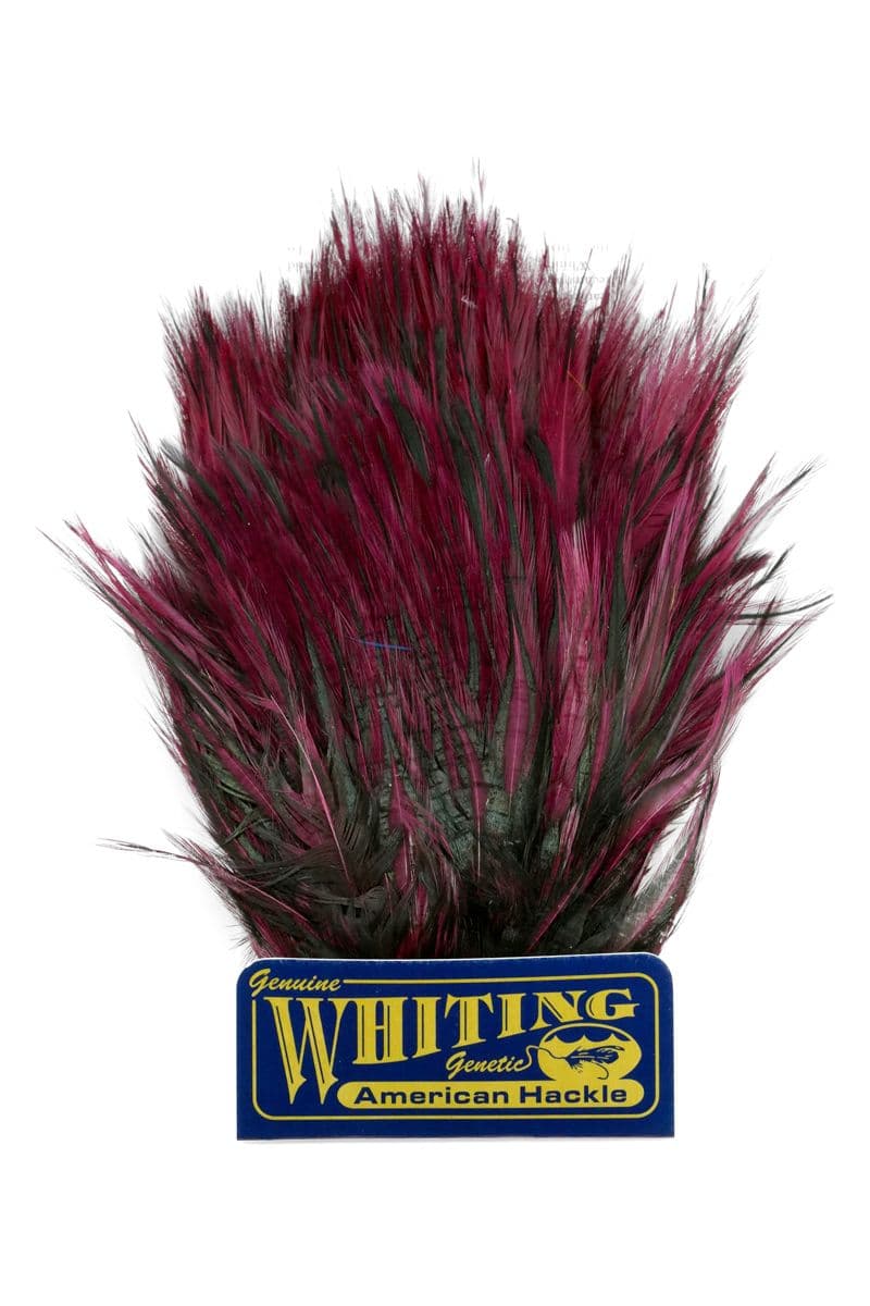 American Streamer Pack Black laced White dyed Claret view 4