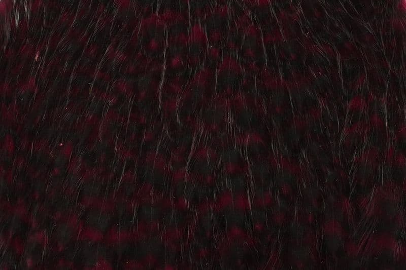 American Hen Cape Grizzly dyed Claret view 1