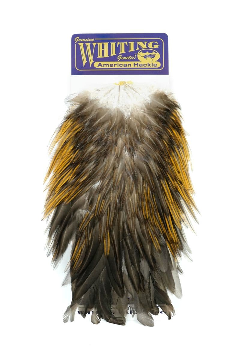 American Rooster Saddle Unique Variant view 3
