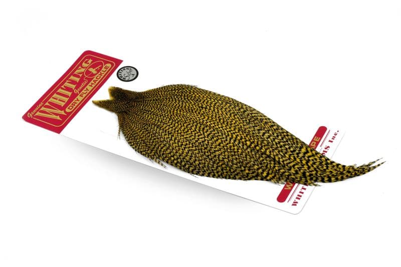 Whiting Silver Cape Grizzly dyed Golden Straw view 2
