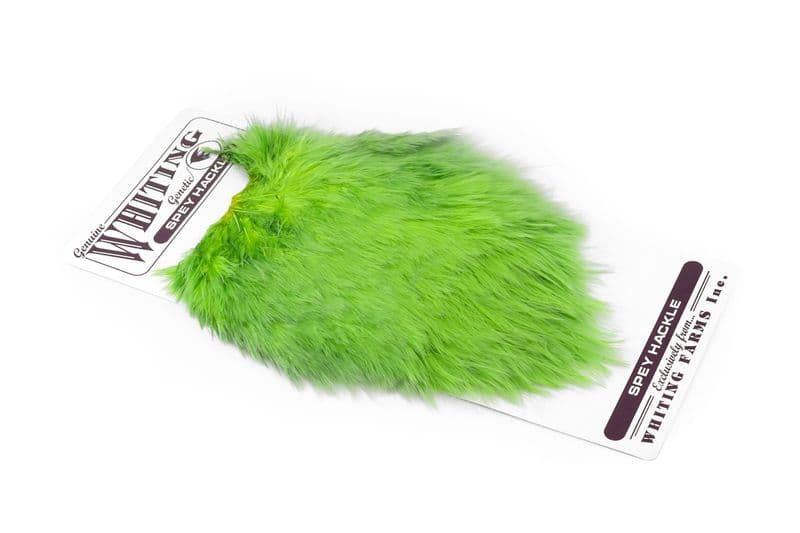Spey Hackle Hen Saddle White dyed Insect Green view 2