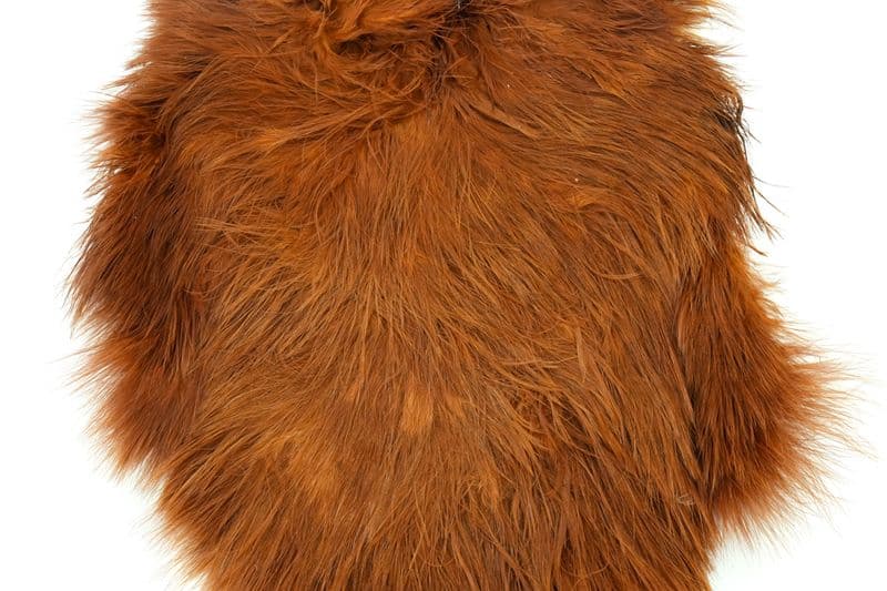 Spey Hackle Hen Saddle White dyed Brown