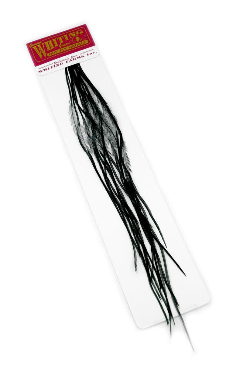Whiting 100 Pk Size 16 Black view 1