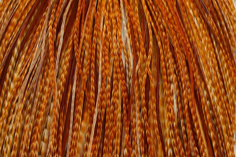 Whiting Bronze Cape Barred Dark Ginger view 1