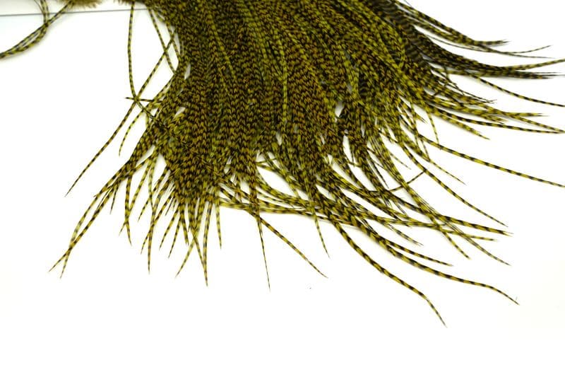 Whiting Silver Saddle Grizzly dyed Olive view 4
