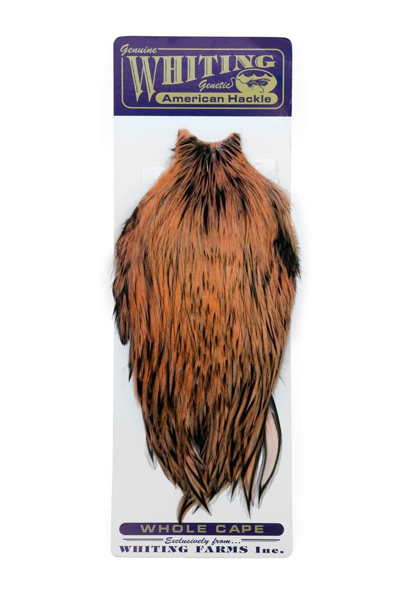 American Rooster Cape BLW dyed Salmon view 3