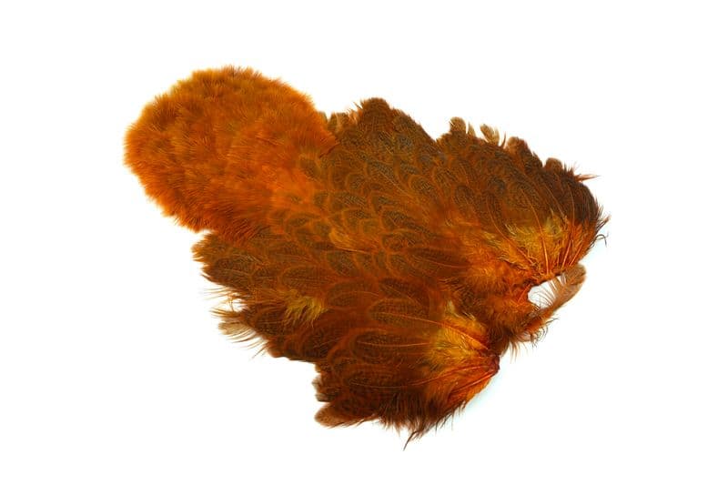 Brahma Hen SH/C Speckled dyed Burnt Orange view 2