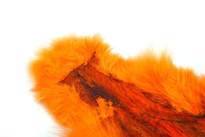 Spey SH/C White dyed Shrimp Orange view 1