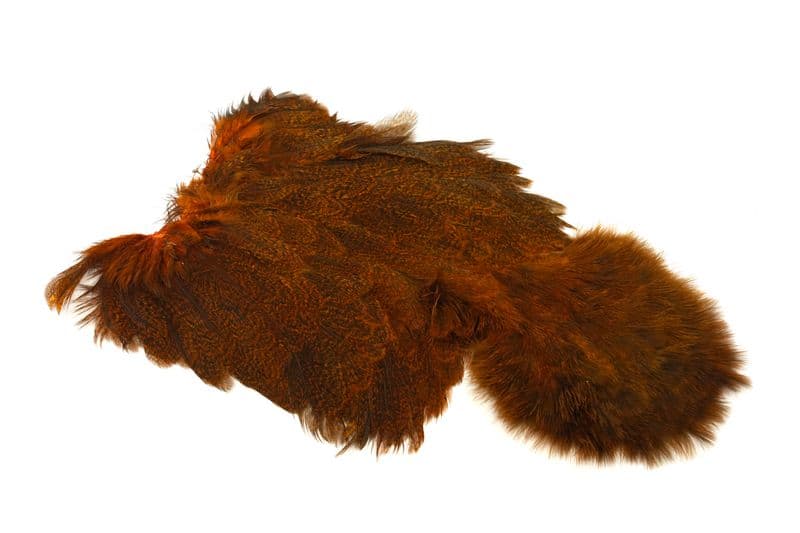 Coq De Leon Hen SH/C Speckled dyed Burnt Orange view 4
