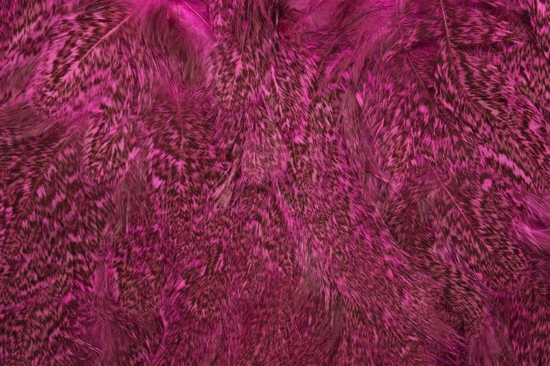 Coq De Leon Hen SH/C Speckled dyed Pink view 1