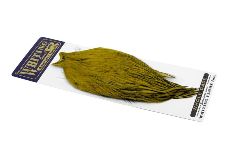American Rooster Cape BLW dyed Golden Olive view 2