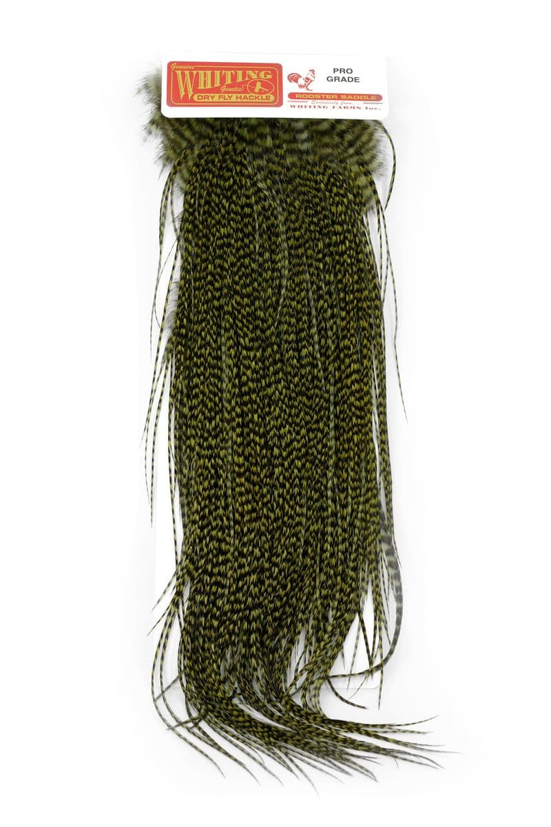 Whiting Pro Grade Midge Saddle Grizzly dyed Olive view 3