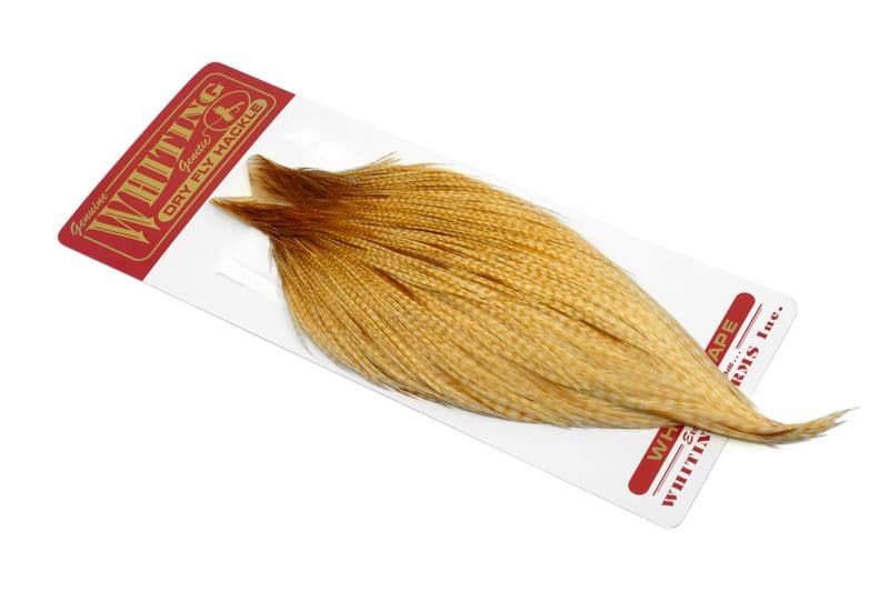 Whiting Commercial Cape Barred Medium Ginger view 2