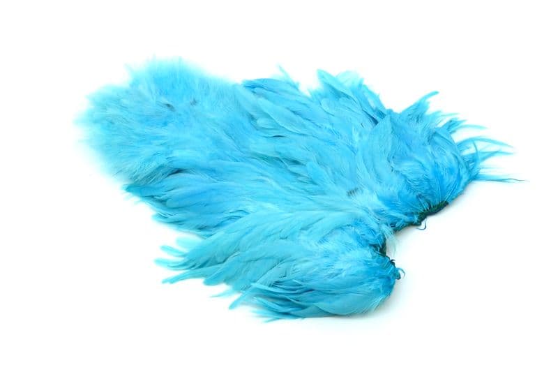 American Hen SH/C White dyed Silver Dr. Blue view 2