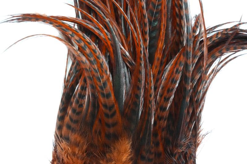 Whiting Bugger Pack Grizzly dyed Coachman Brown view 1