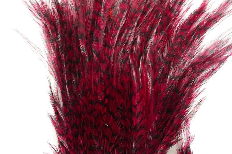 American Streamer Pack Grizzly dyed Claret view 1
