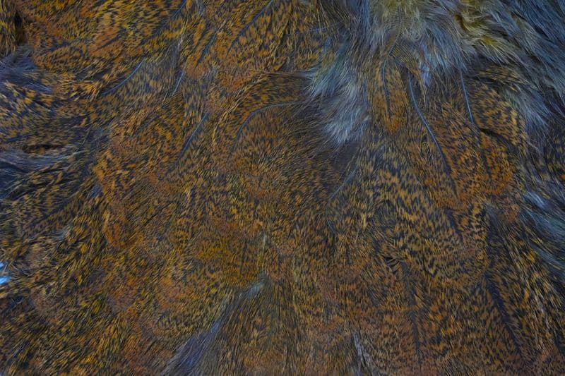 Coq De Leon Hen SH/C Speckled dyed Copper Olive view 1