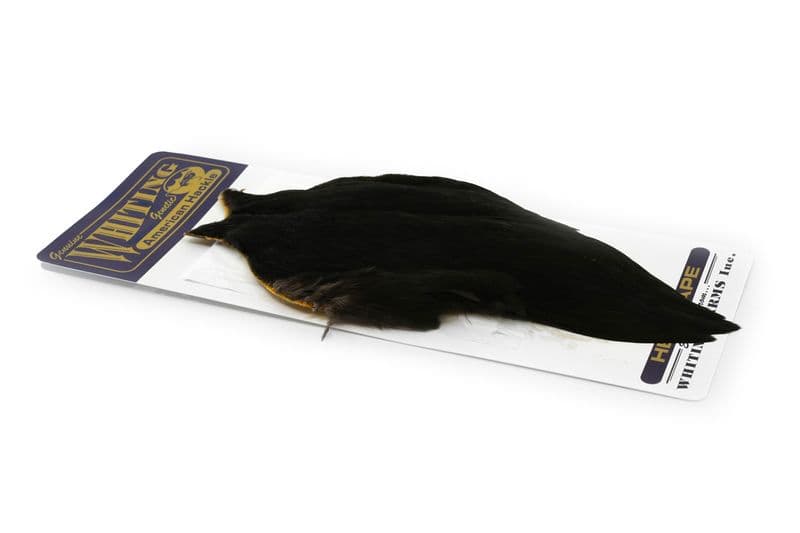 American Hen Cape Black view 2