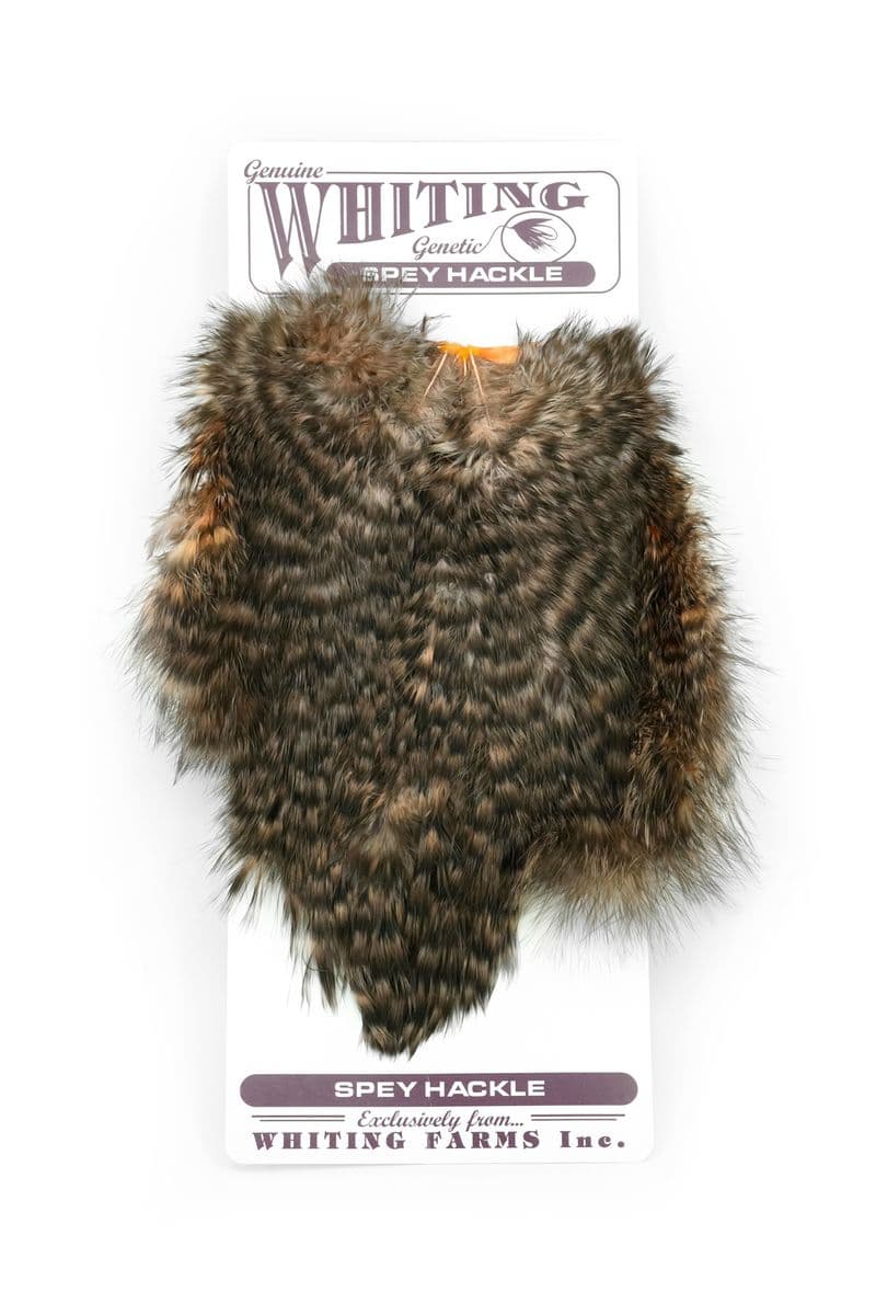 Spey Hackle Hen Saddle White dyed Salmon view 3