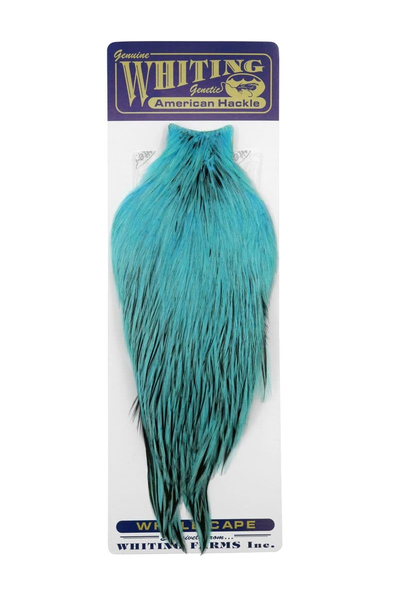 American Rooster Cape BLW dyed Silver Dr. Blue view 3