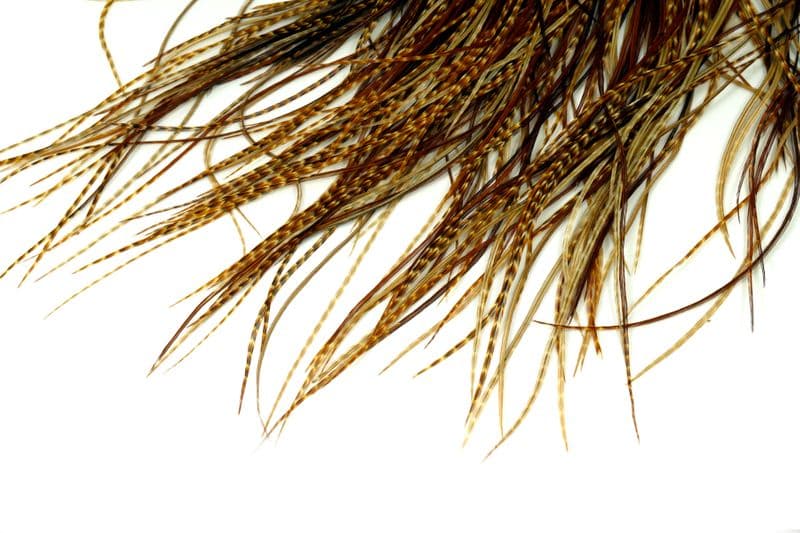 Whiting Bronze Midge Saddle Barred Dark Ginger view 4