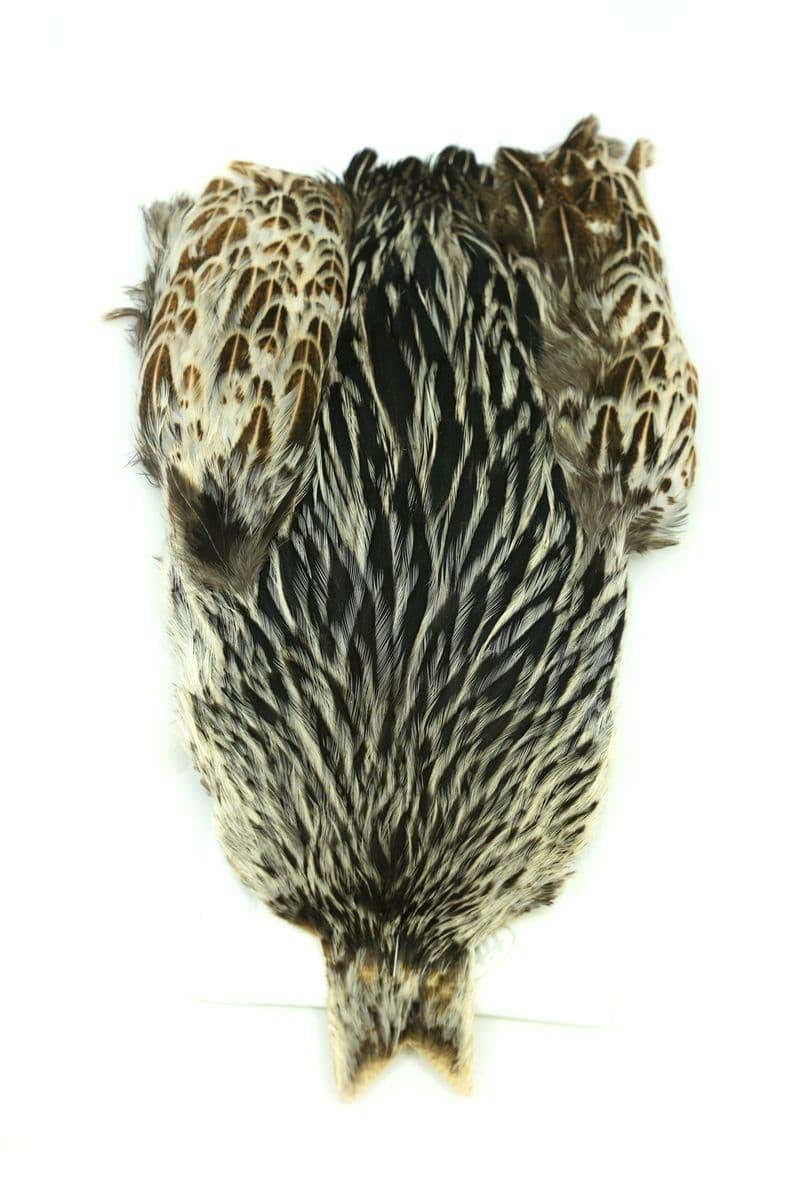 4 B's Hen Cape Unique Variant view 2