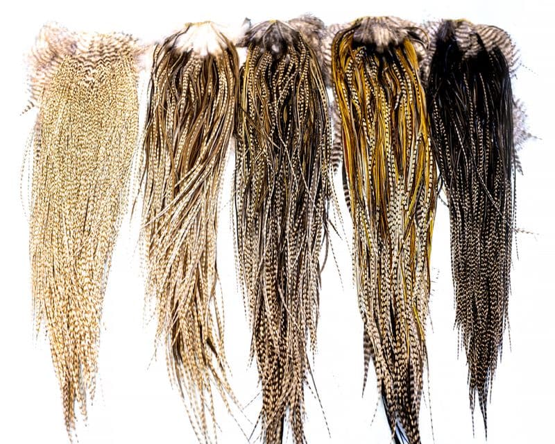 Heritage Hackle Saddle Grizzly Variant view 1