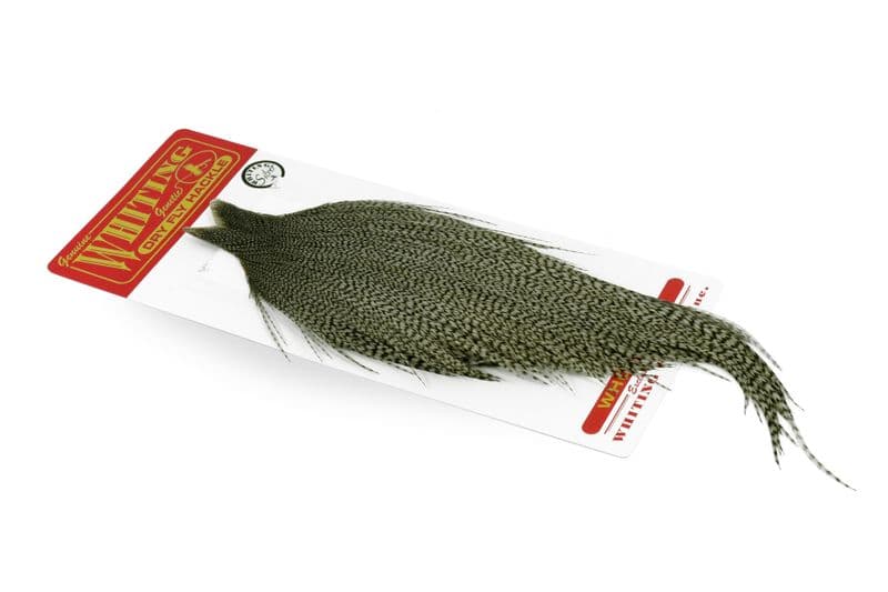 Whiting Silver Cape Grizzly dyed Dun view 2