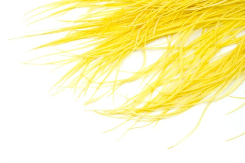 Whiting Silver Saddle White dyed Pale Yellow view 4