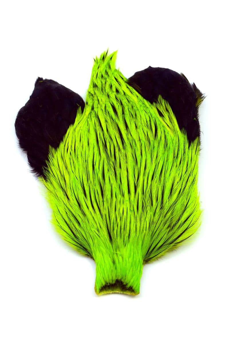 Brahma Rooster Cape Badger dyed Fl Green Chartr view 3