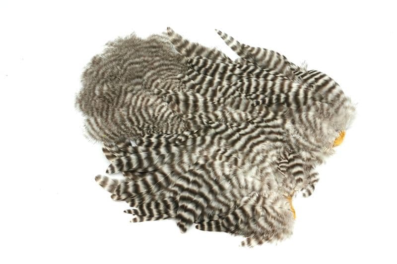 Whiting Rooster SH/C Grizzly view 1