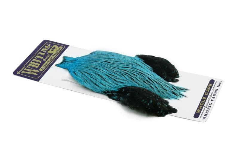 American Rooster Cape Badger dyed Silver Dr. Blue view 2