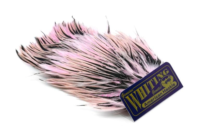 American Streamer Pack Black laced White dyed Shell Pink view 3