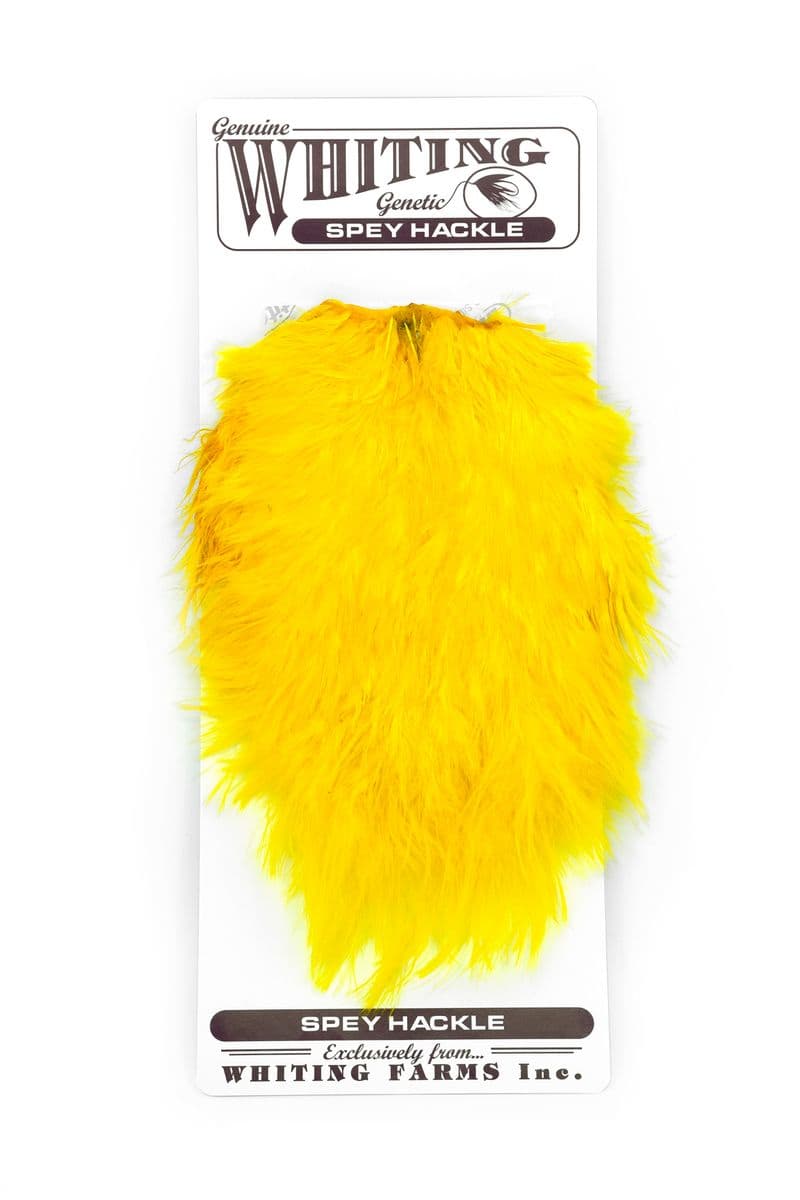 Spey Hackle Hen Saddle White dyed Yellow view 3