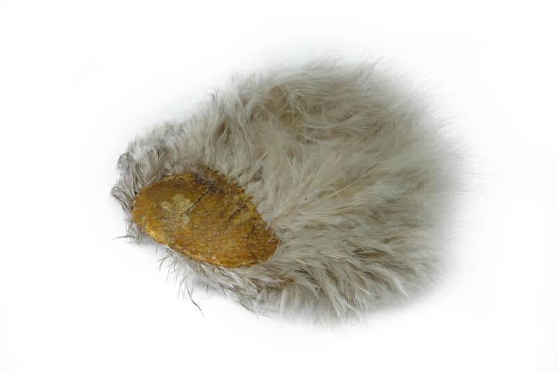 Super 'Bou White dyed Tan view 2