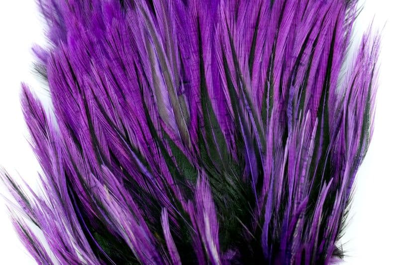American Streamer Pack Black laced White dyed Purple view 1