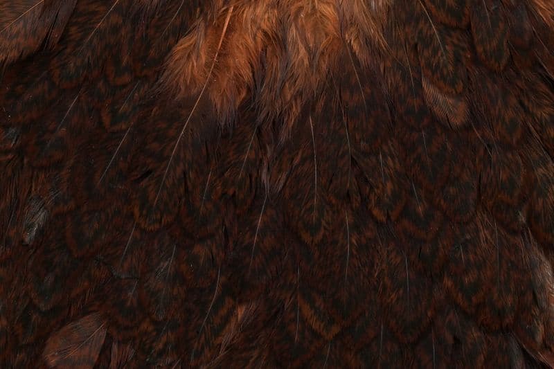 Brahma Hen Saddle Mottled Grey dyed Natural Brown view 1