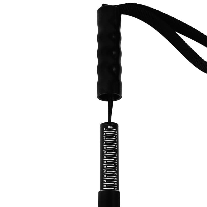 Measure & Weigh XL (Model R703)
