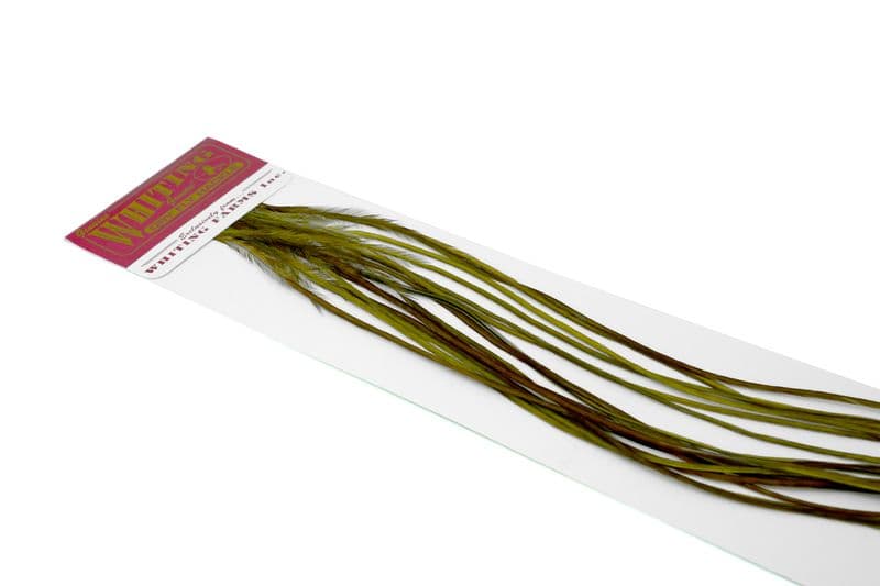 Whiting 100 Pk Size 16 White dyed Dark Olive view 3