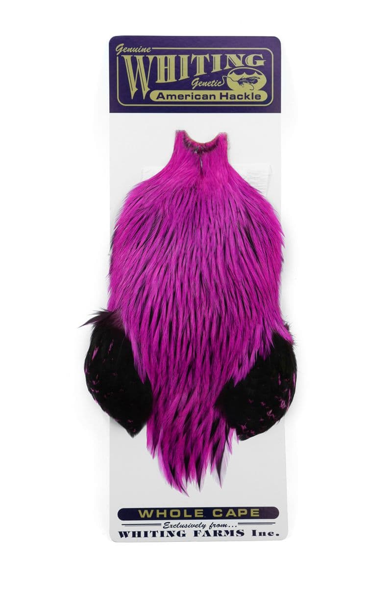 American Rooster Cape Badger dyed Pink view 3