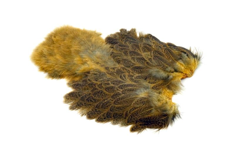 Brahma Hen SH/C Mottled Grey dyed Golden Straw view 2