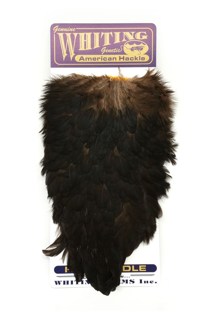 American Hen Saddle Black view 3