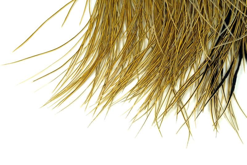 Whiting Bronze Midge Saddle Badger view 4