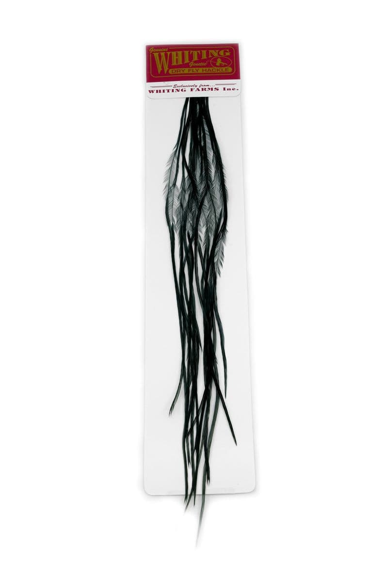 Whiting 100 Pk Size 16 Black view 2
