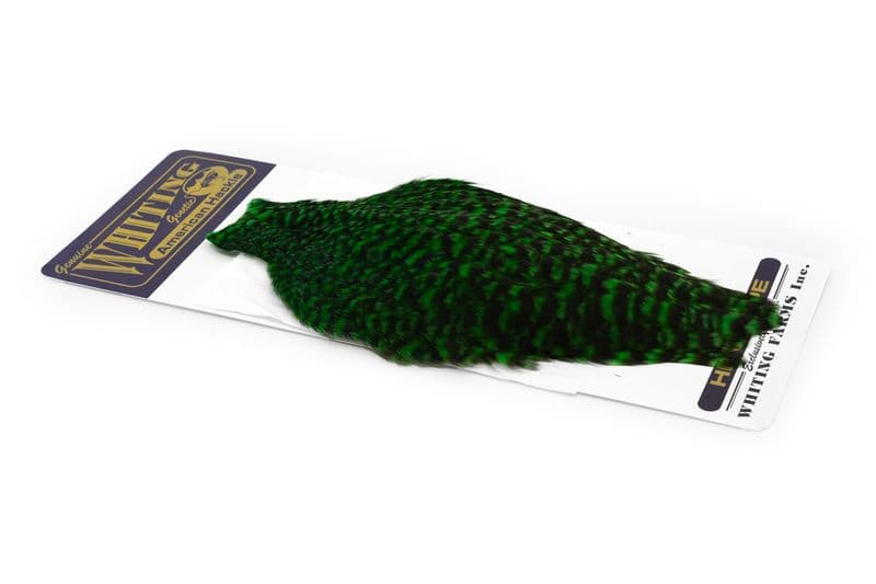American Hen Cape Grizzly dyed Highlander Green view 2