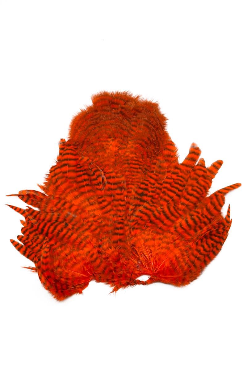 Whiting Rooster SH/C Grizzly dyed Orange view 2