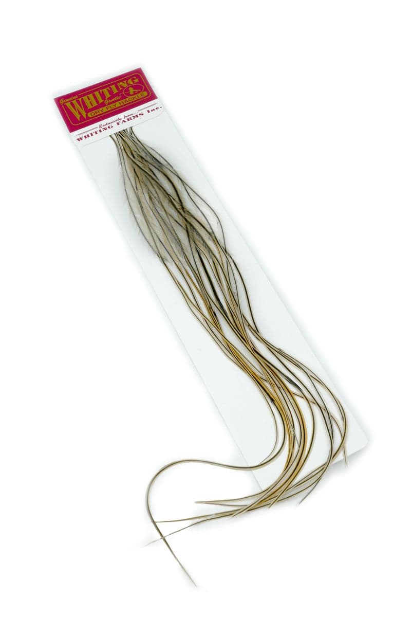 Whiting 100 Pk Size 18 Golden Badger view 1