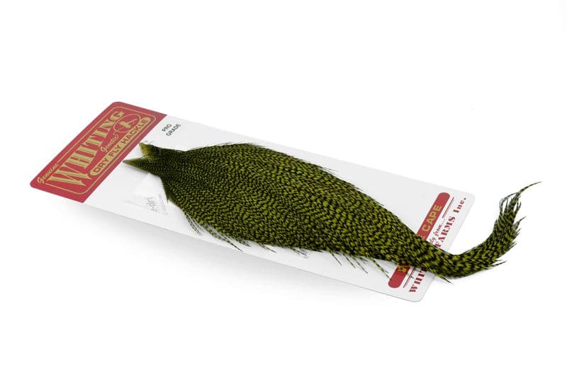 Whiting Silver Cape Grizzly dyed Olive view 2