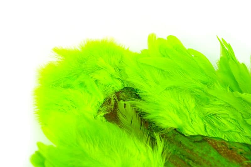 American Hen SH/C White dyed Fl. Green Chartreuse view 1